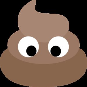 What Does It Mean When My Poop Is Green?