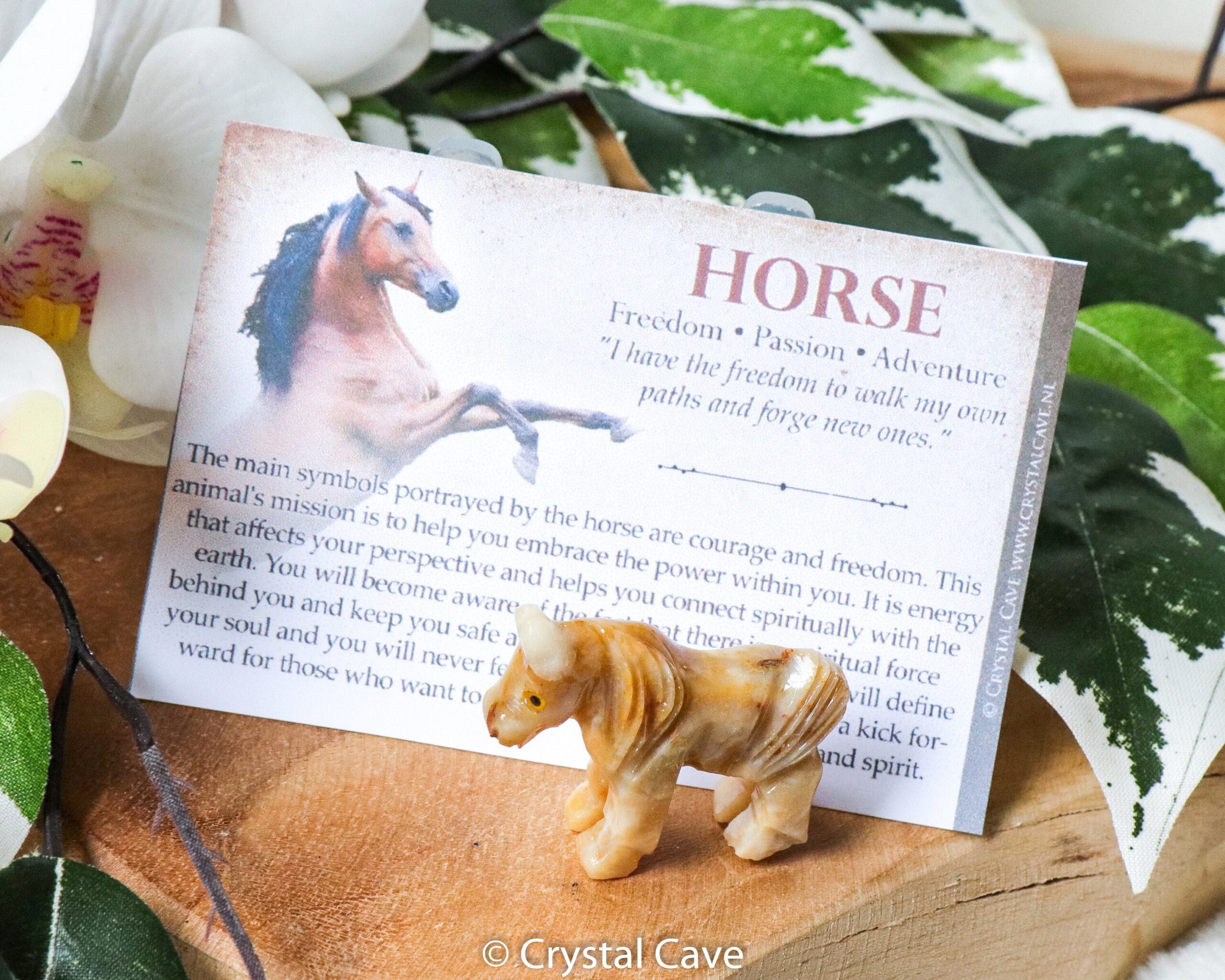 Horse Spirit Animal Symbolism & Meaning