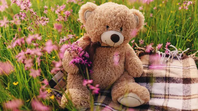 Dreaming About Bear: Know Actual Biblical & Spiritual Meaning of It