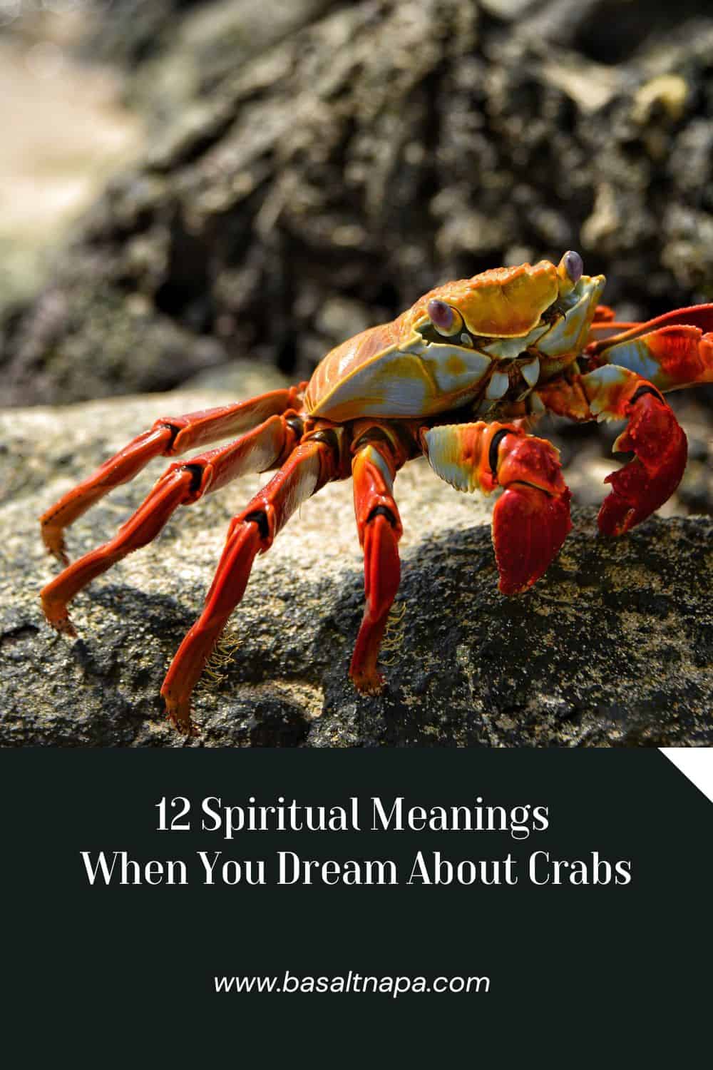 What Does It Mean to Dream About Crabs?