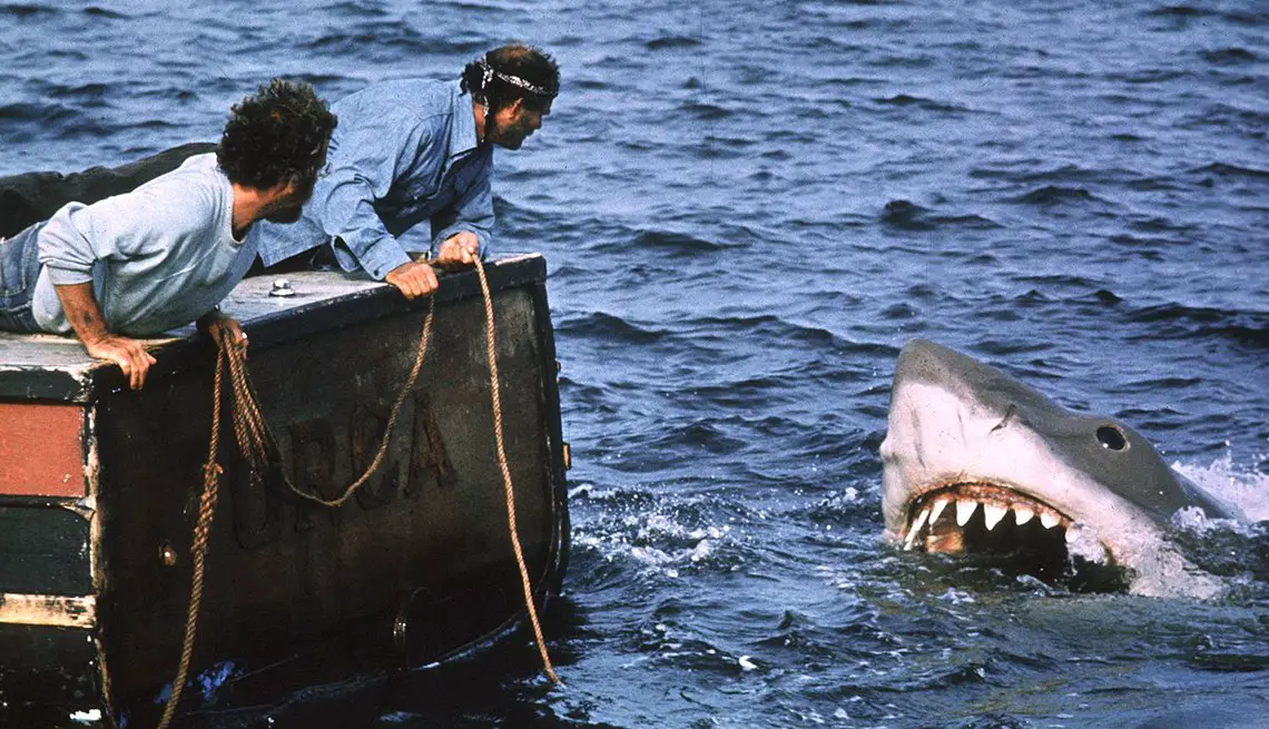 What Does It Mean to Dream About Sharks - Everything You Need to Know