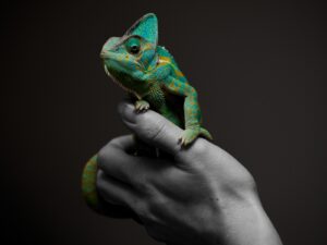 Biblical meaning of chameleon in a dream