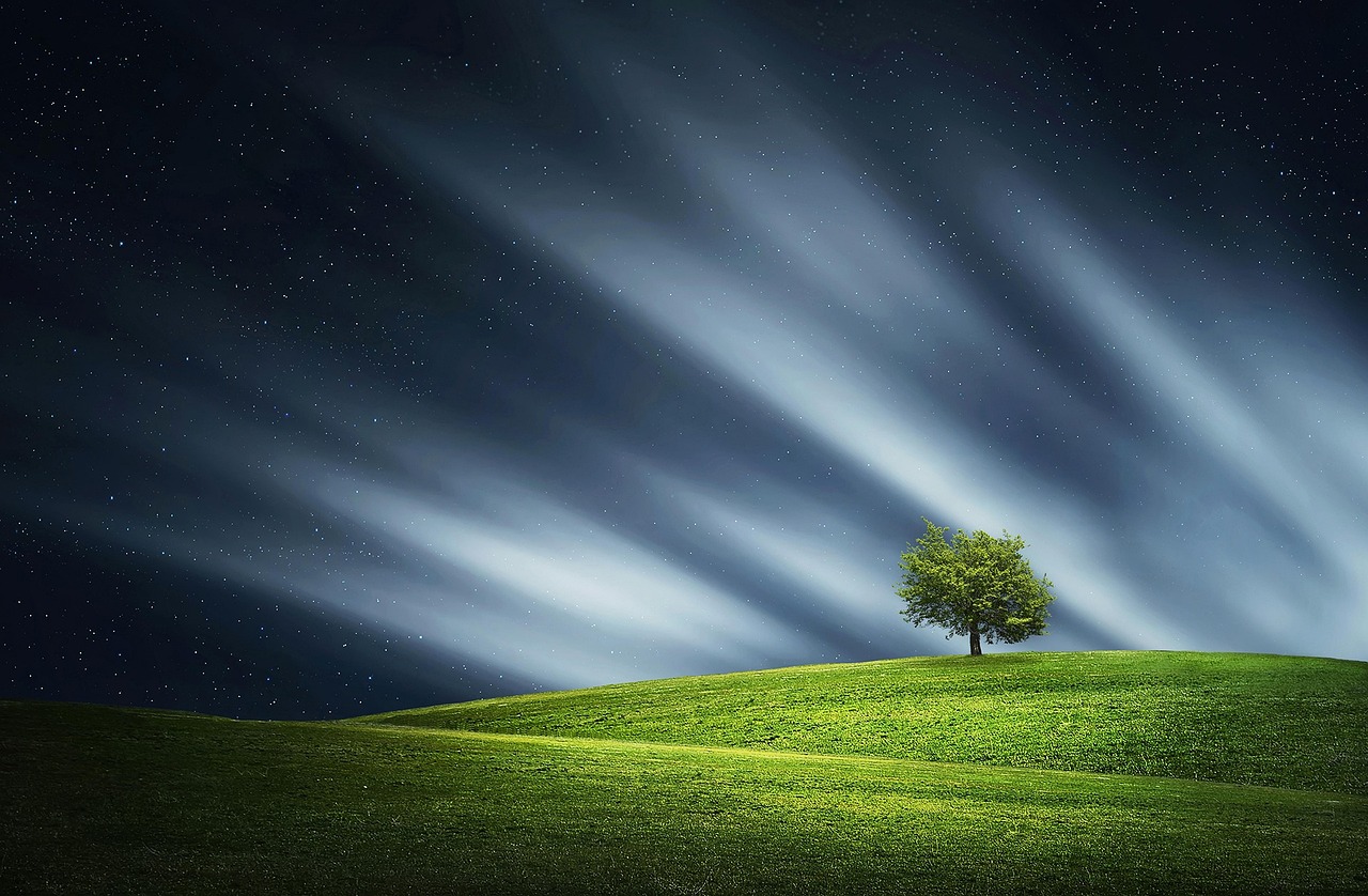 tree night nature landscape meadow grass calm dream hills blue nature blue landscape blue tree blue grass blue night blue dream blue calm blue natural grass calm dream dream dream dream dream