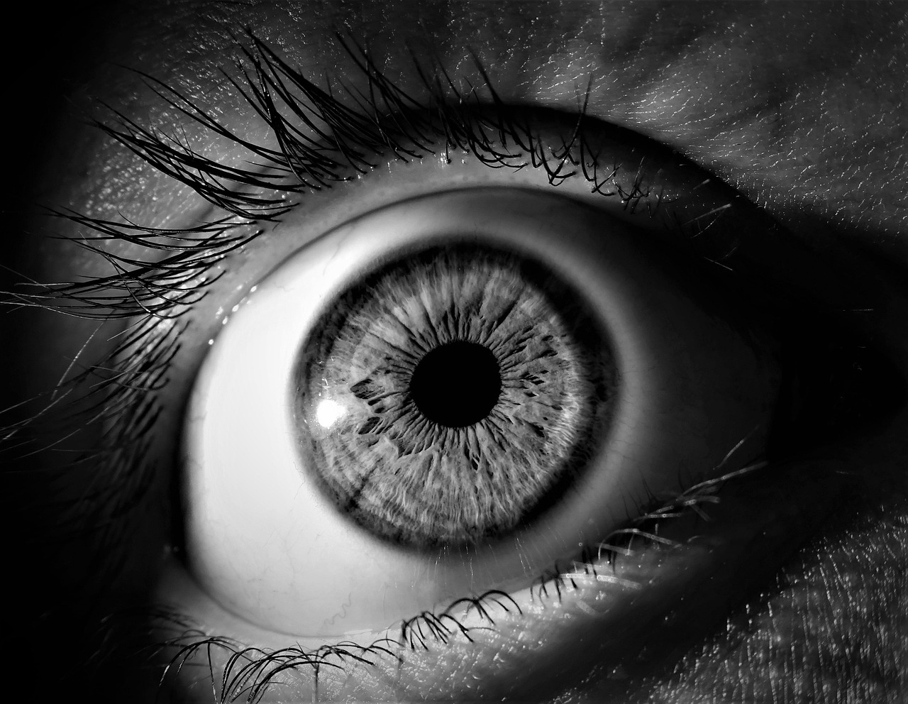eye iris pupil vision eyeball eyelashes view see black white eye eye eye eye eye