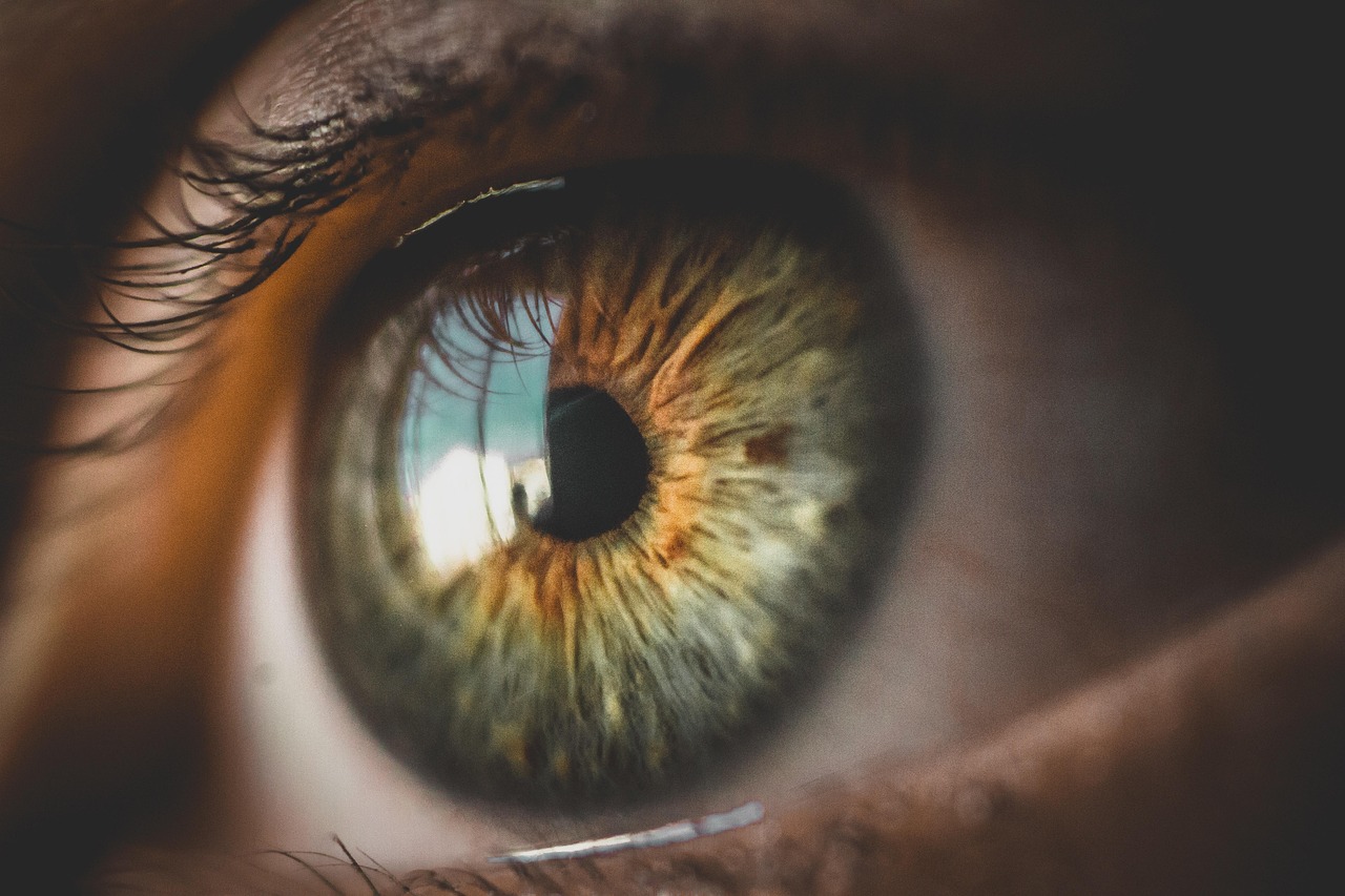 eye close up vision macro eye eye eye eye eye