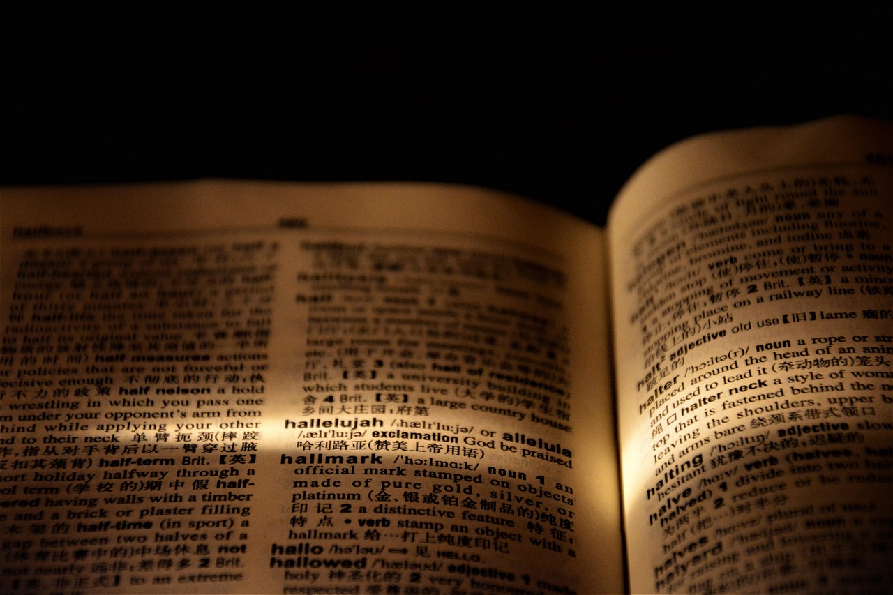 hallelujah dictionary page light book paper praise worship words meaning closeup dark dictionary dictionary dictionary dictionary book book praise praise praise worship worship worship worship worship words words words meaning
