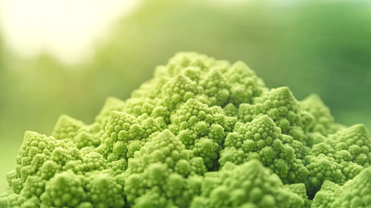 romanesco vegetables green food vitaminhaltig vitamins vegetarian fresh vegan raw food food vegan vegan vegan vegan vegan