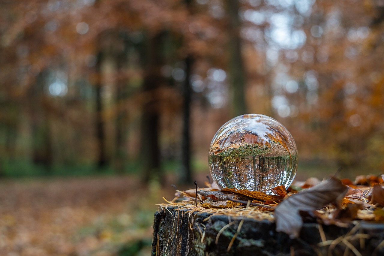 fall nature lensball glass sphere crystal ball environment environmental protection forest trees multicoloured lensball crystal ball crystal ball crystal ball crystal ball crystal ball environmental protection environmental protection environmental protection