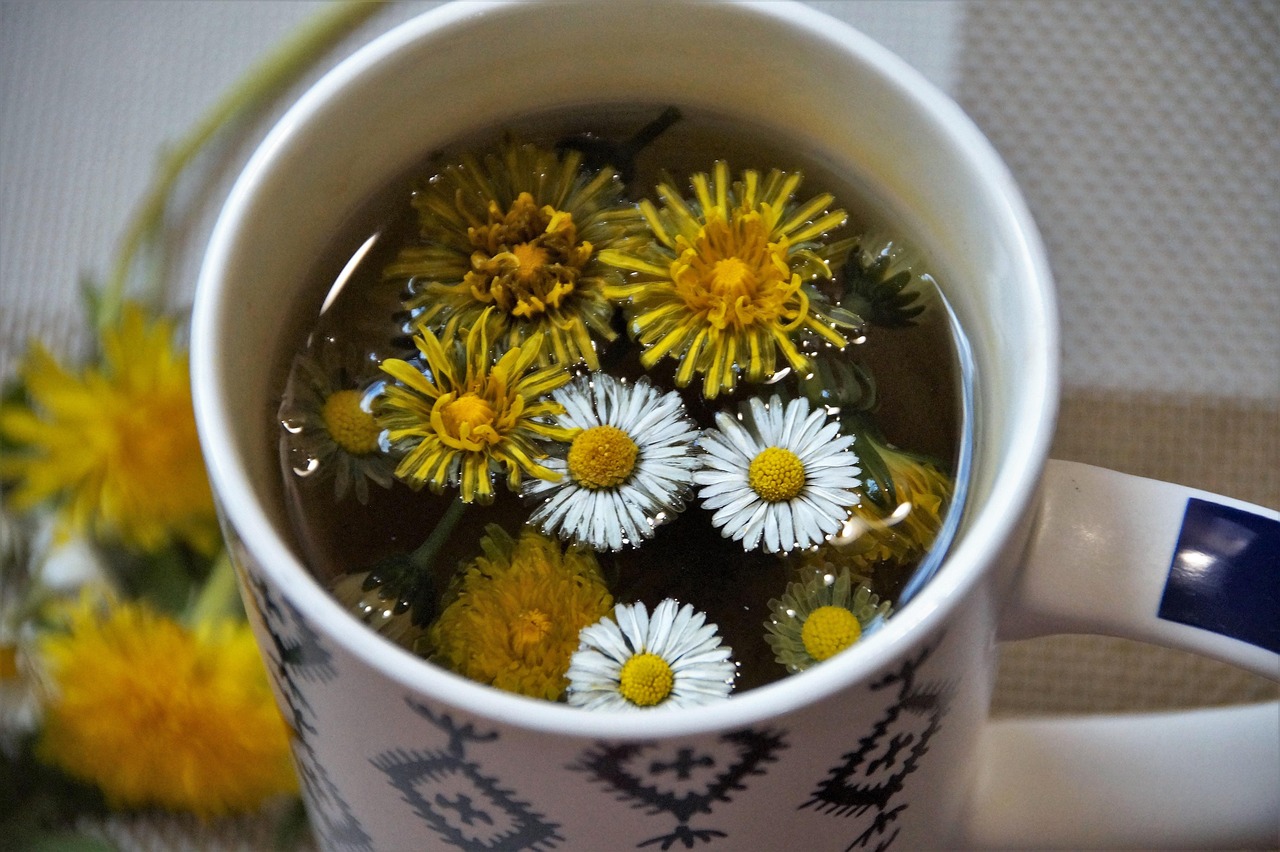 tea herbal dandelion daisy detox vernal freshly extract health drink organism strengthening cleanse weed dandelion extract extract extract cleanse cleanse cleanse cleanse cleanse