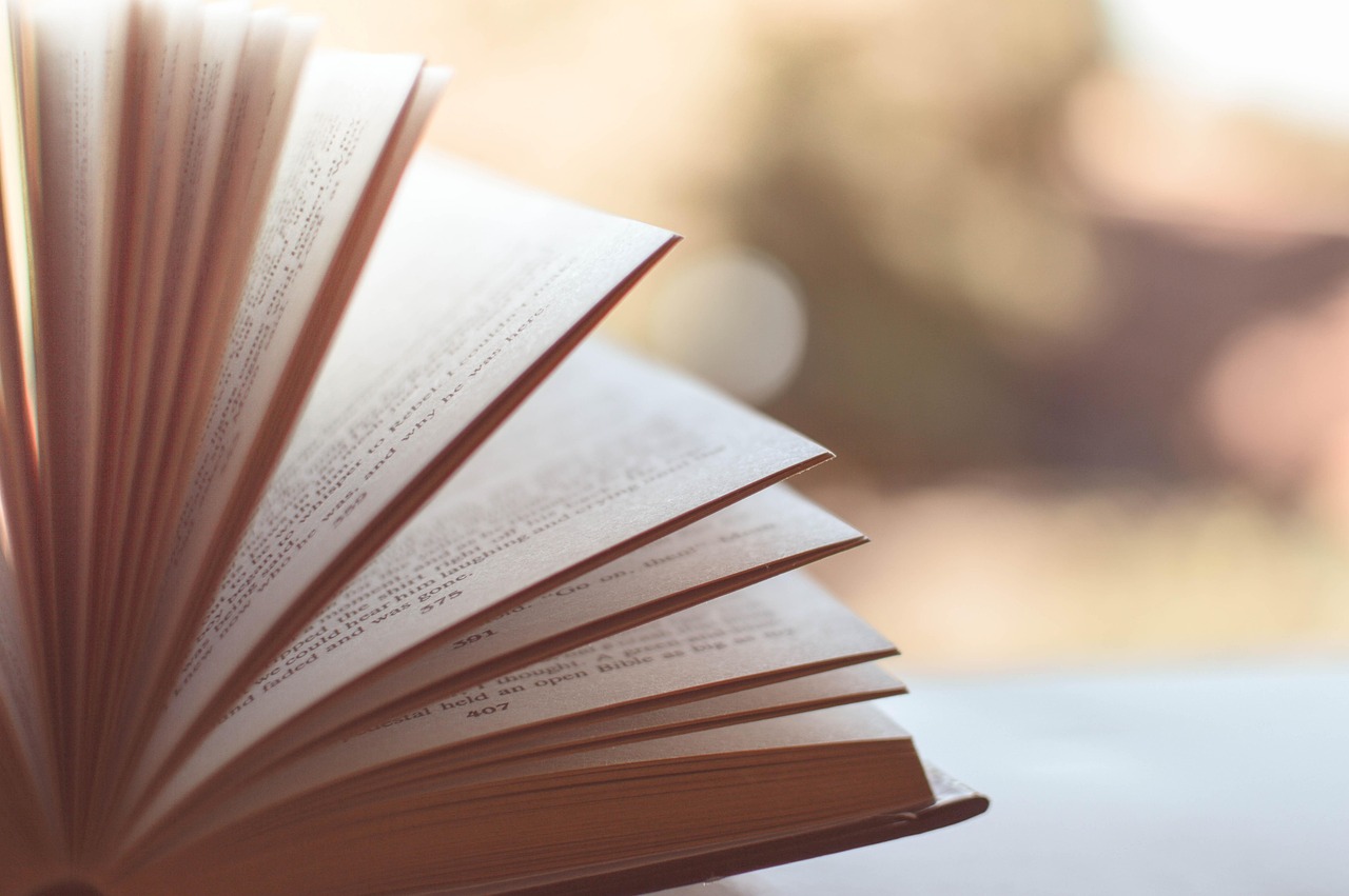 book pages chapters open open book book pages literature knowledge wisdom read reading browsing book book book book book reading