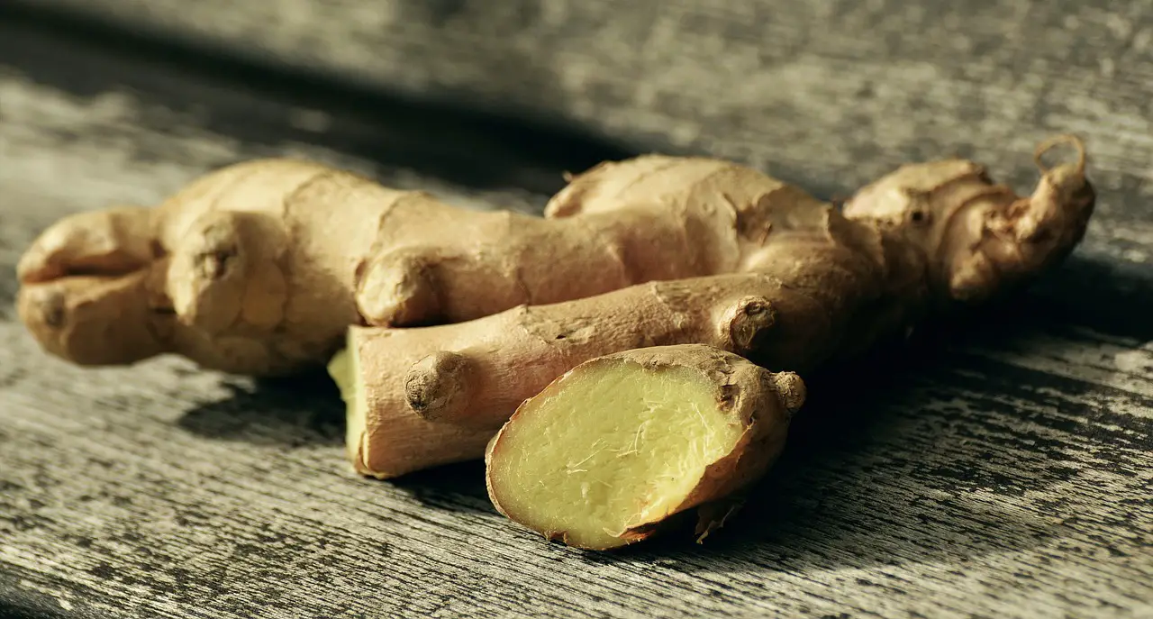 ginger natural remedies spice medicine ginger root healthy vegetable fresh raw organic close up root crop ginger ginger ginger ginger ginger