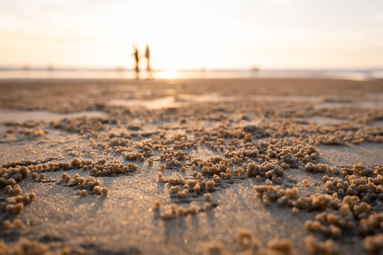 beach sunrise sea ocean weekend vacation vietnam coast sunlight simple brown beach brown sea nature brown sunrise brown ocean brown simple