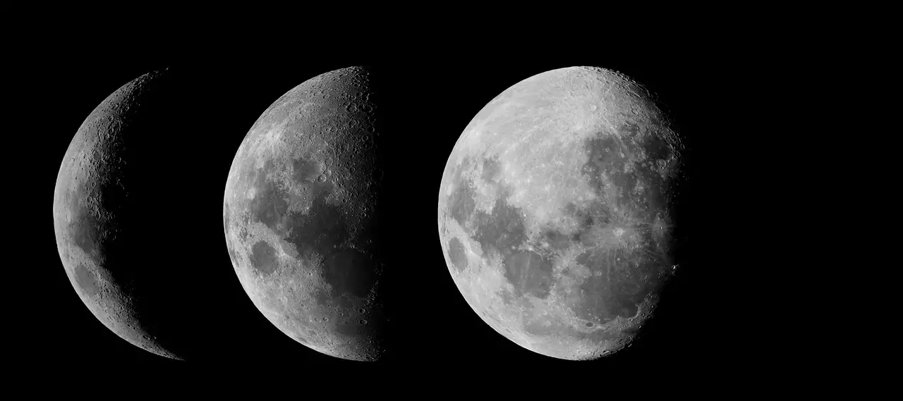 moon phases of the moon zodiac astronomy night moonlight cosmos phase space science lunar universe time month light clock astrology zodiac zodiac zodiac zodiac zodiac phase astrology astrology