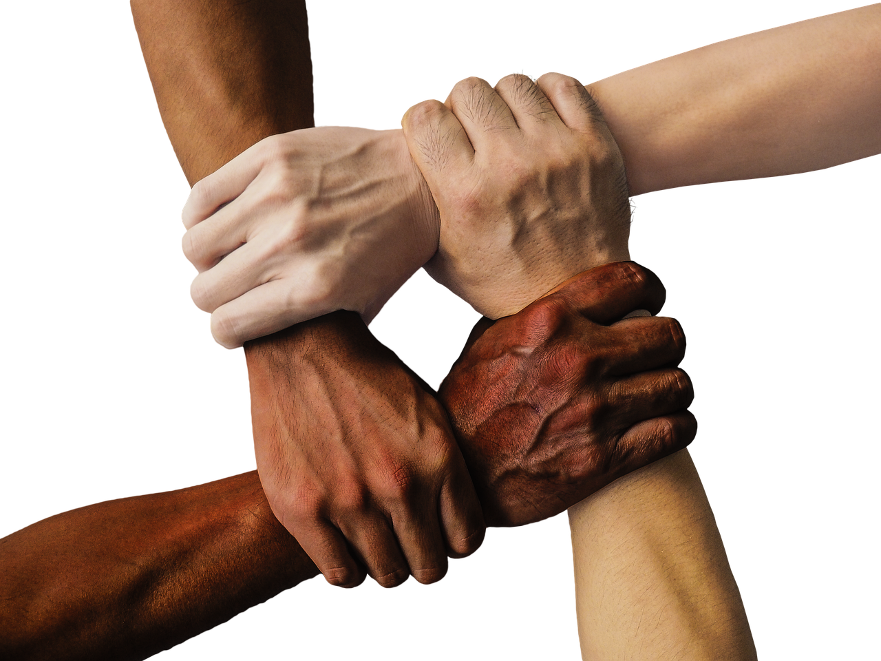 hands team united together people unity teamwork group hand in hand union support friendship cooperation community holding connection harmony diversity cut out hands hands hands hands team team team team team together together people people people people unity teamwork teamwork group support support friendship friendship community community community community connection diversity diversity diversity diversity