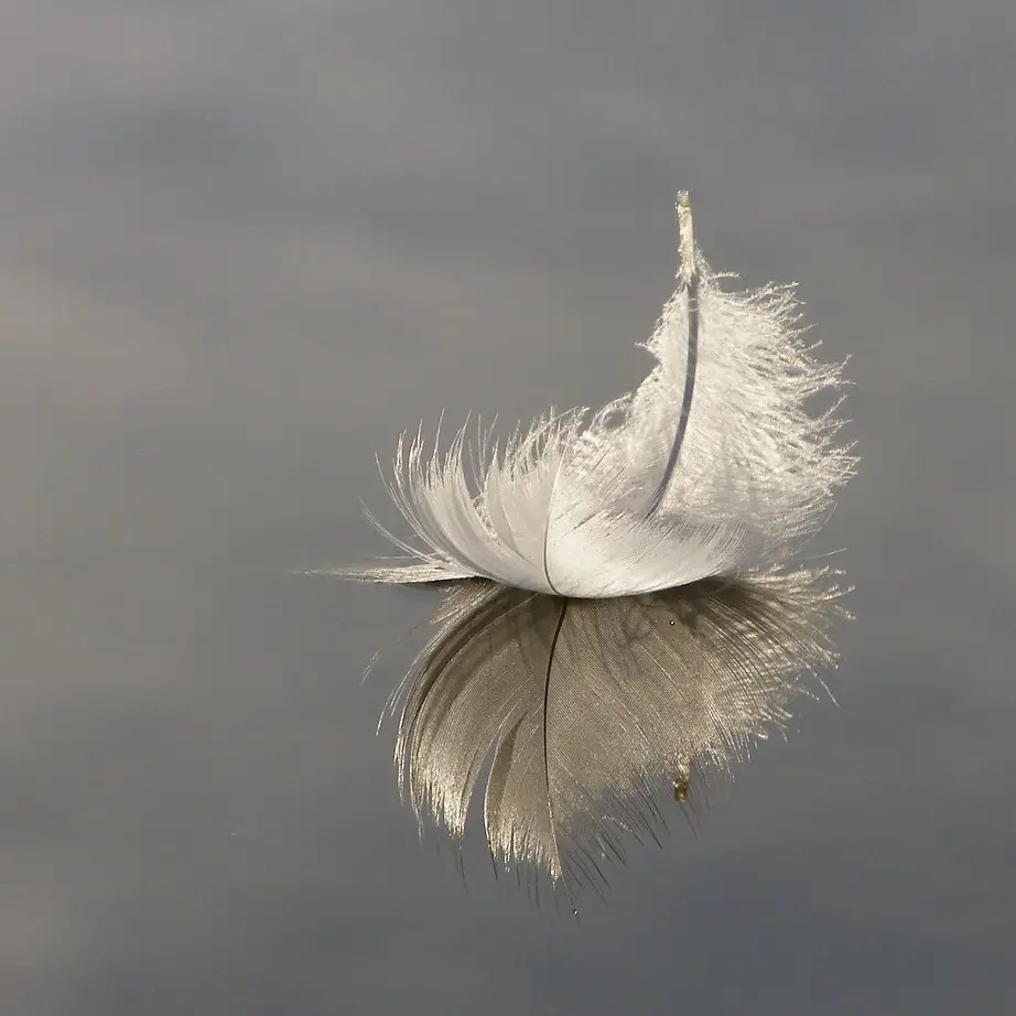 Spiritual Meanings of a White Feather