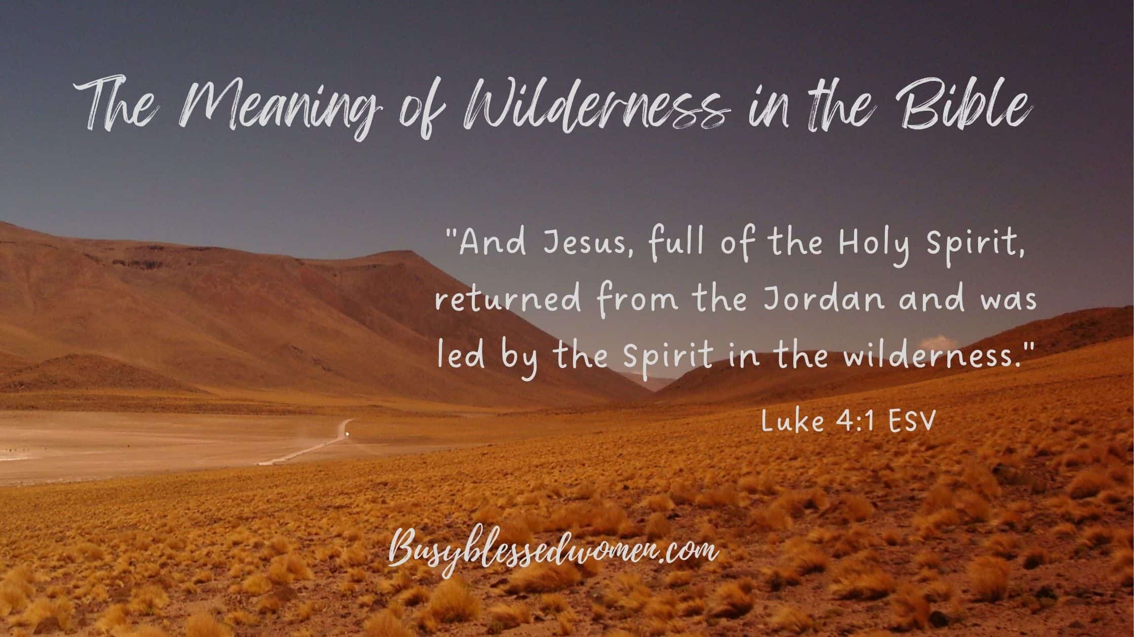Dream Of Library: 40 Biblical, Spiritual Meanings & Explanations